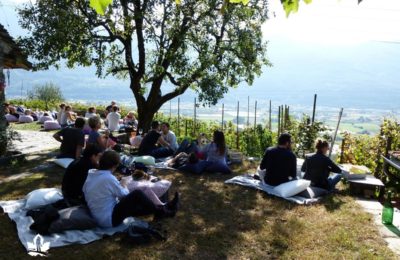 VIGNIC – Picnic in vigneto! Dal 2018, un’autentica esperienza immersiva tra i vigneti più belli del Canton Ticino.